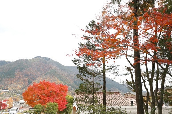 【交通情報】湯本~強羅 箱根登山電車 代行バスの運行について 【道路情報】国道138号線通行止め解除