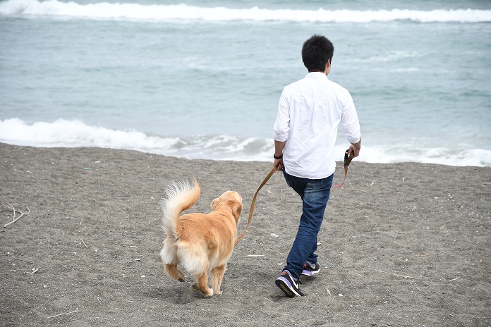 大型犬無料キャンペーン