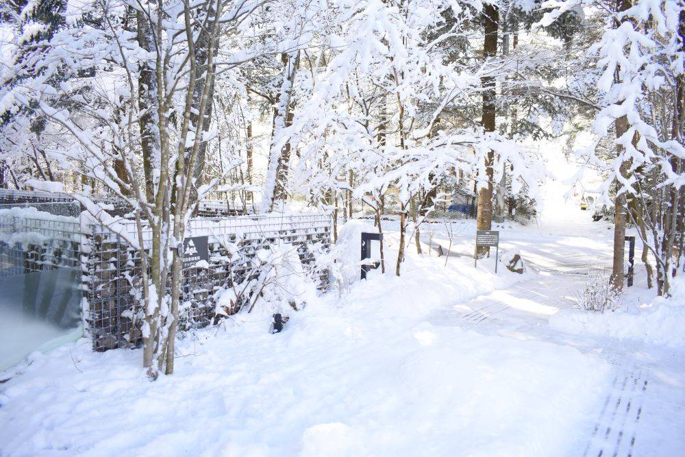 冬季の軽井沢に関しまして