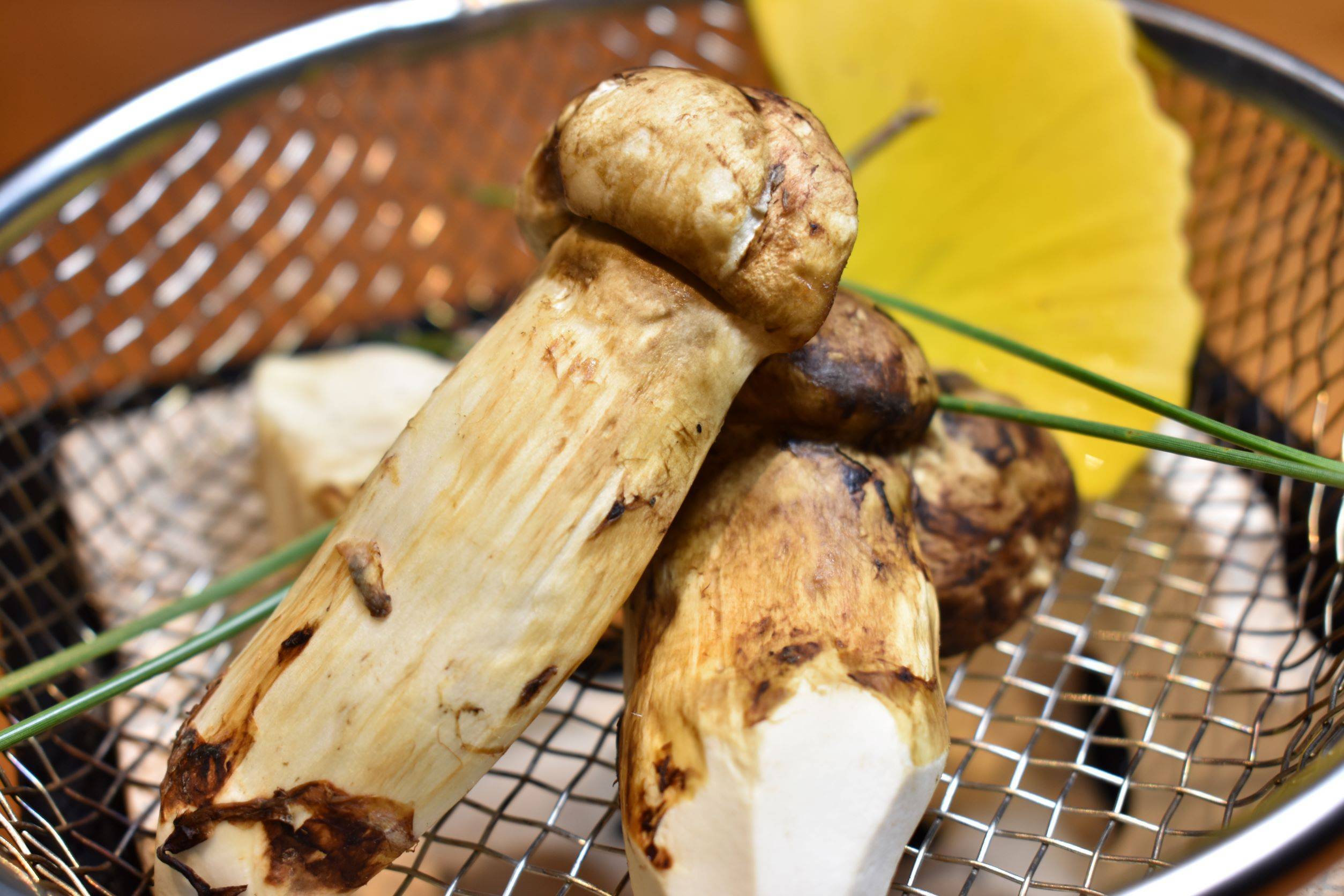 9月・10月期間限定のお料理