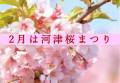 河津桜まつり