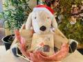 クリスマス愛犬用ジャーキープレゼント