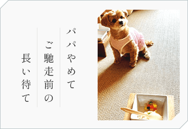 パパやめて ご馳走前の 長い待て
