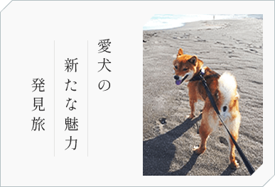 愛犬の 新たな魅力 発見旅