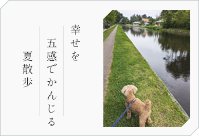 幸せを 五感でかんじる 夏散歩