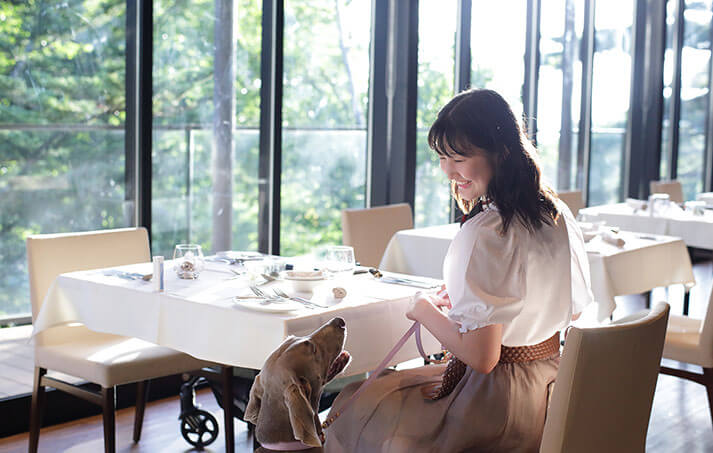 イメージ：愛犬とのかけがえのない時間