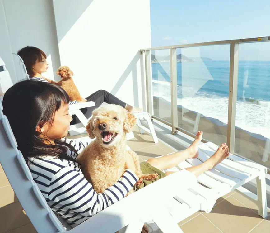 イメージ：愛犬とくつろぐ写真