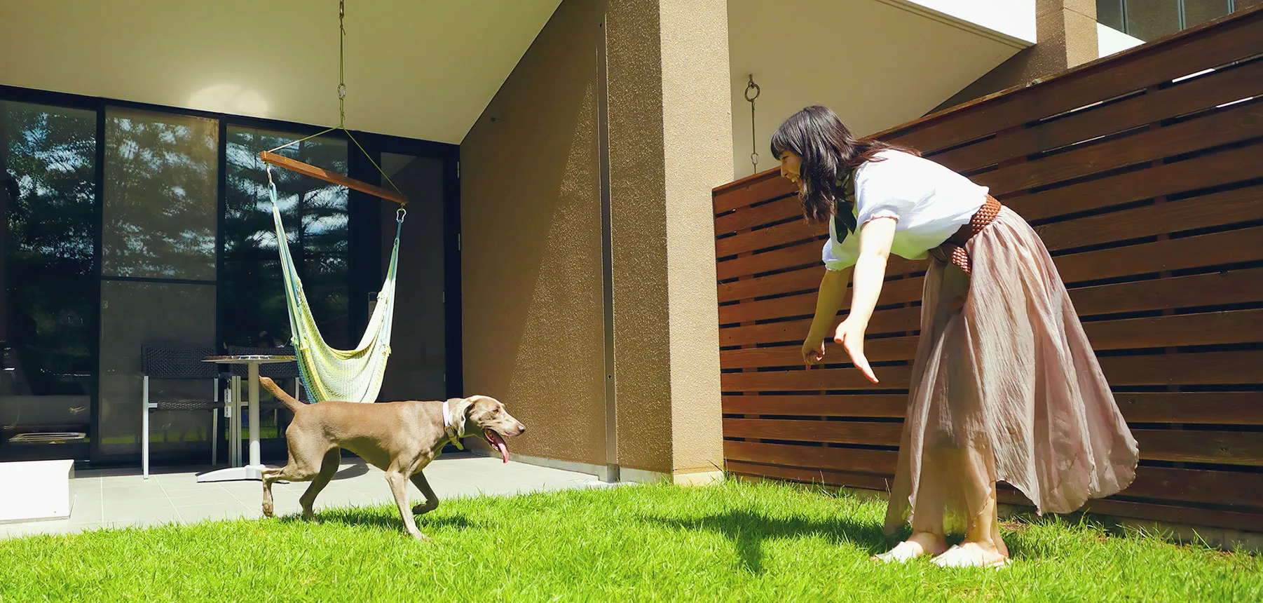 イメージ：愛犬と遊んでいる写真