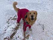 冬季ご利用のお客様へ(12月11日～）