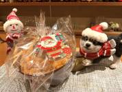 12月24日・25日限定！愛犬と一緒に食べられるケーキプレゼント！