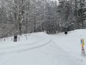 路面状況のご案内