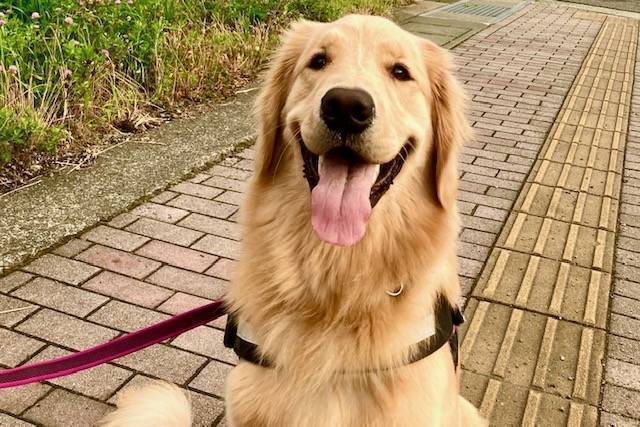 メンテナンスクローズのご案内【1月13日（火）～1月15日（木）】