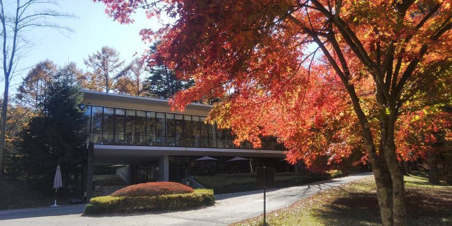 富士河口湖紅葉まつり