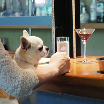 非日常な空間で、愛犬とゆっくりくつろげる大人のリゾート