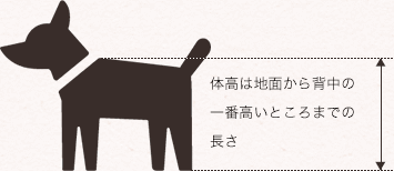 体高は地面から背中の一番高いところまでの長さ