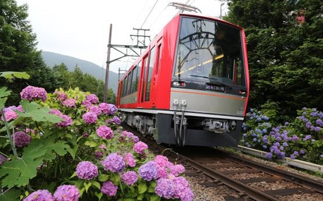 愛犬同伴「電車旅行」体験キャンぺーン!!お一人様2,000円割引 2020年7月23日(木・祝)始発より営業運転再開