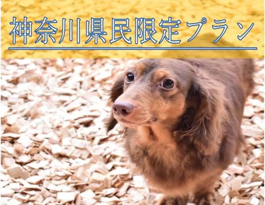神奈川県民限定【クレジットカード事前決済】1泊2食付き/愛犬と一緒にお部屋でのんびり/客室かけ流し温泉/懐石料理お部屋出し~
