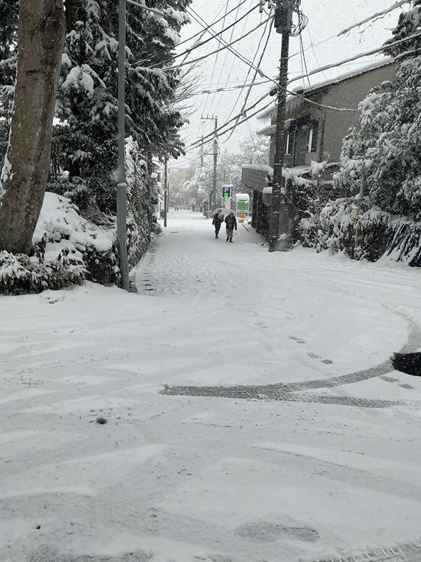 ≪周辺の道路状況について≫