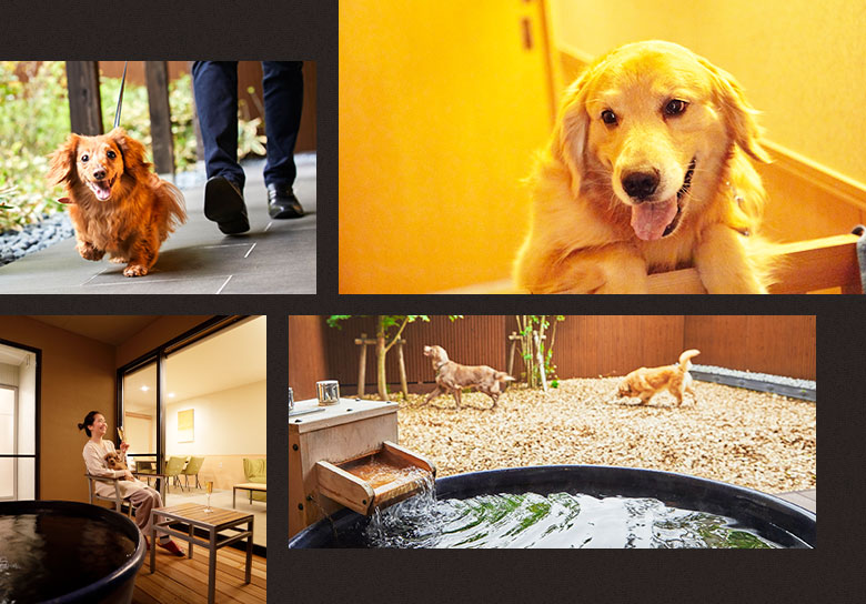 愛犬と過ごす箱根の四季