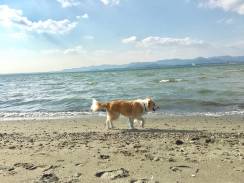 期間限定の宿泊プラン登場！
