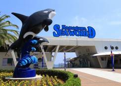 鴨川シーワールド入園券販売開始！