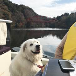 濃溝の滝と亀山湖にお出掛けしてきました