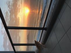 ゆっくり朝時間