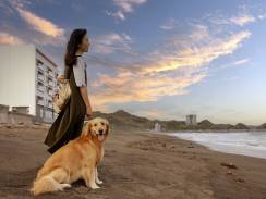 2月休館日のお知らせ