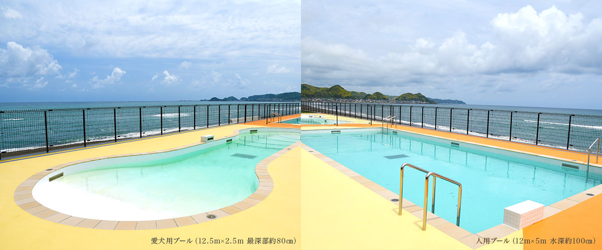 ガーデン（屋外）プール