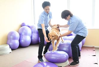 インフィニティマウンテンコース