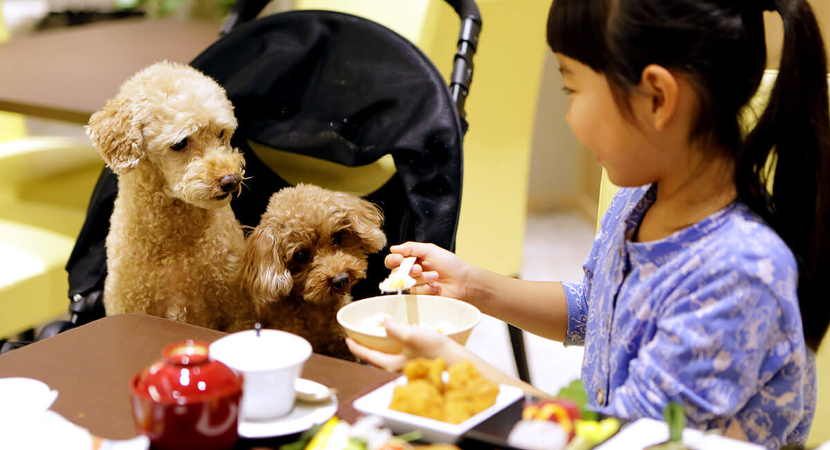 愛犬同伴のお客様へ