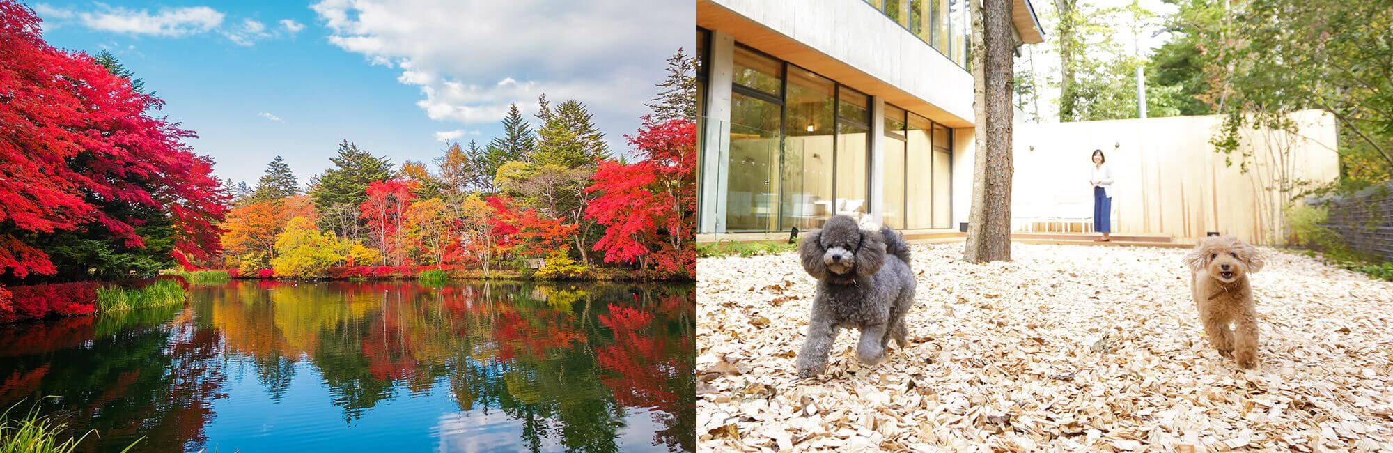 豊かな自然の中で愛犬と過ごす至福のひととき