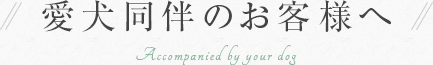 愛犬同伴のお客様へ