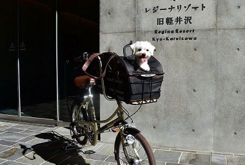 レンタサイクル