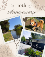 祝！10周年記念