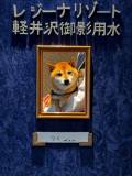【10周年イベント】フォトコンテスト開催！