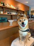 【ラウンジ】館内フォトスポット情報！！