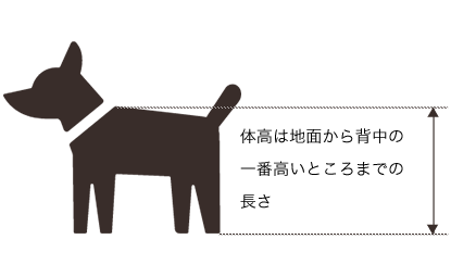 愛犬ご同伴でご宿泊のお客様へ