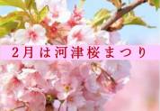 河津桜まつり