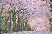 ３月のご予約受付について