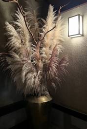 秋とすすきの訪れ