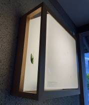 秋色への移ろい