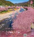 河津桜まつり