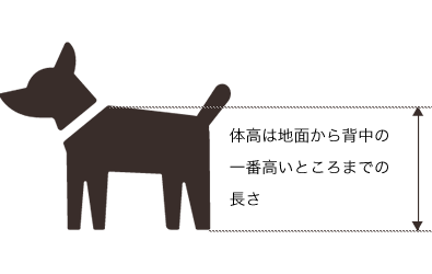 愛犬同伴でご宿泊のお客様