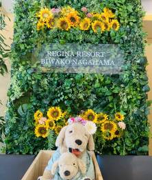 記念写真サービス