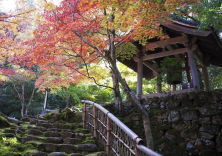 紅葉スポット・時期のご案内