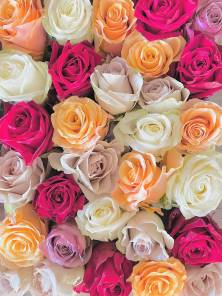 5/8Happy mother's day＆和薔薇プレゼント