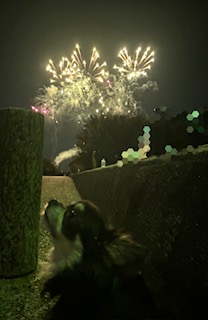 長浜・北びわ湖花火大会のご紹介