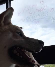 【愛犬のお写真大募集　No.3】