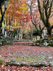 滋賀県の紅葉スポットのご紹介滋賀県の第2回